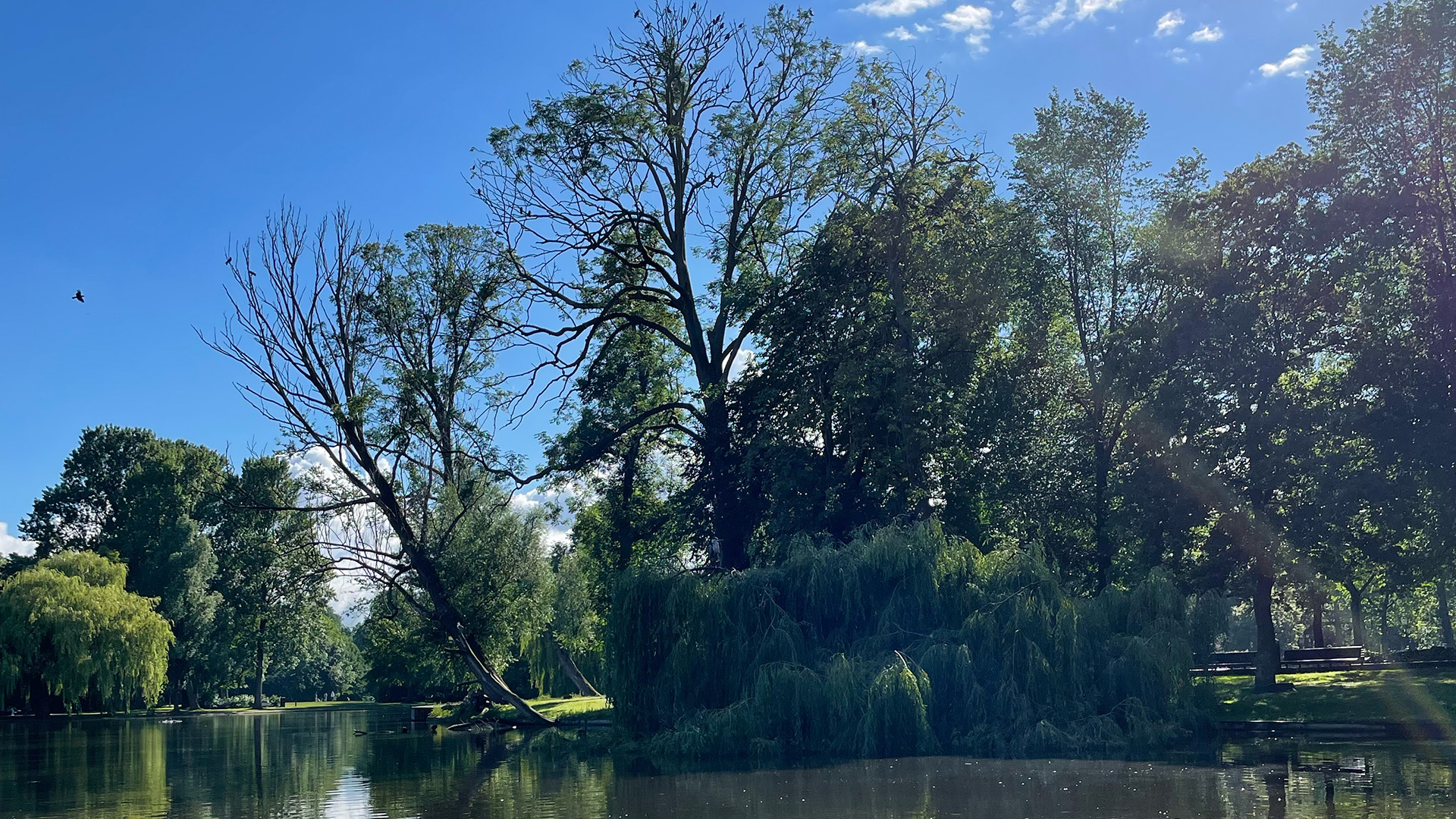 Het keerpunt
